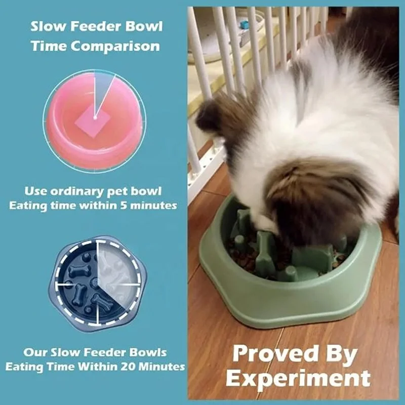 وعاء تغذية بطيء للكلاب، غير قا - مراجعة Royal Canin Food Medium وسعره