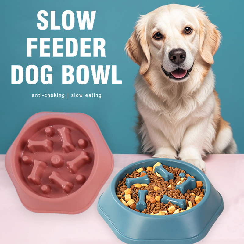وعاء طعام بطيء للكلاب، وعاء طع - مراجعة Royal Canin Food Medium وسعره