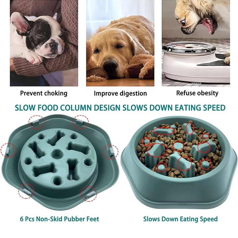 وعاء طعام بطيء للكلاب، وعاء طع - مراجعة Royal Canin Food Medium وسعره